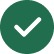 check-icon